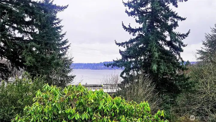 Big Lake Washington views
