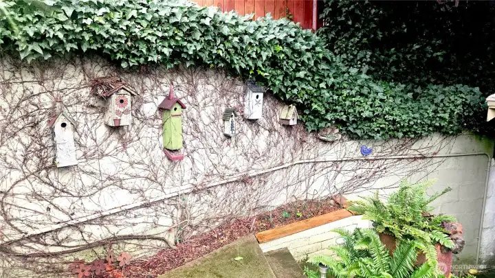 Whimsical Birdhouse lined wall.