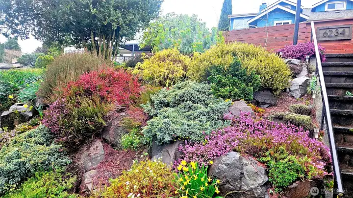 thoughtful ever changing garden.