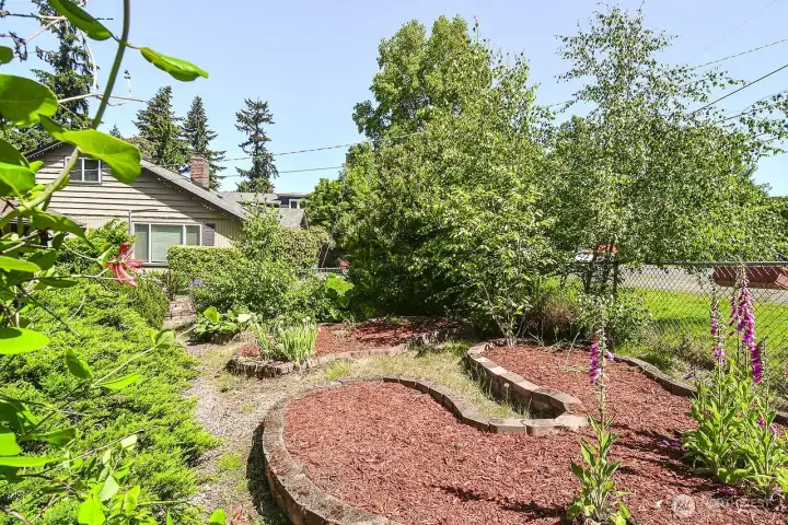 Gardeners paradise in front with multiple raised garden beds and great dirt!