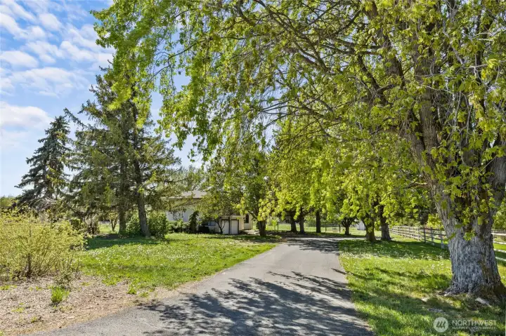Paved driveway.