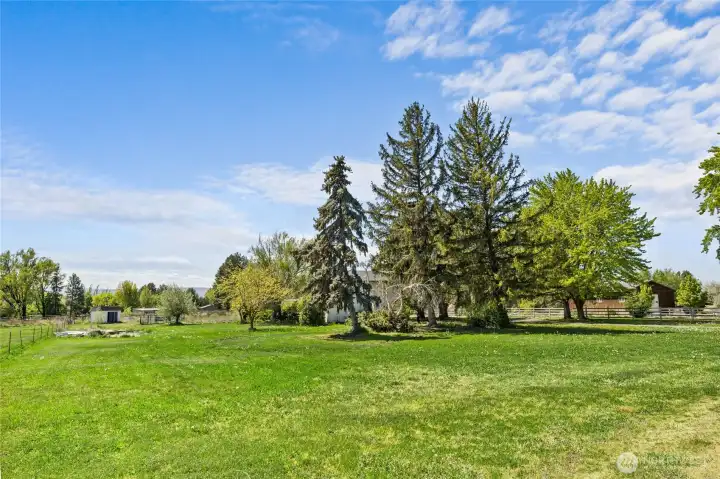 Huge yard on this 1.5 acre lot.