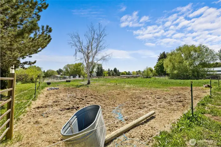 Pasture area.