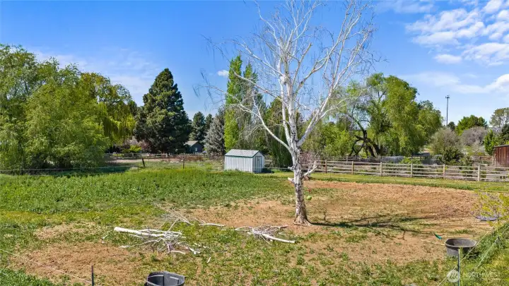 Pasture area.