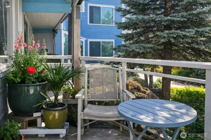 A photo of the deck before the scaffolding went up.