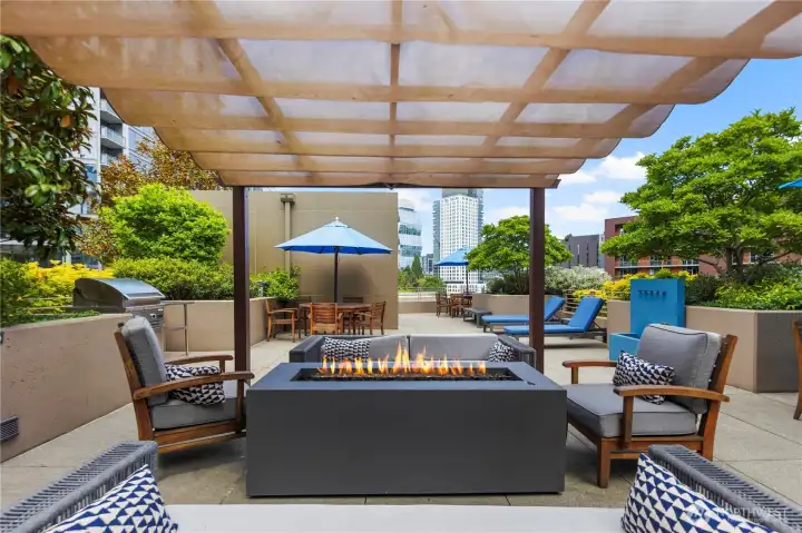Enjoy Summer and BBQs Enjoy Summer and BBQs