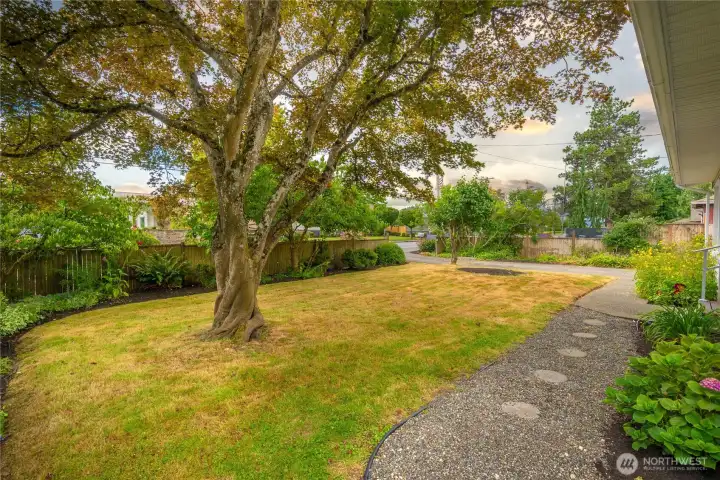 Well loved yard.