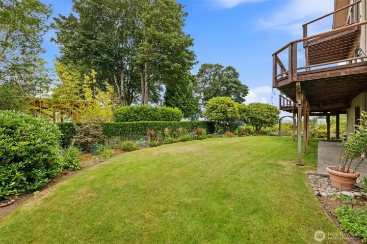 The yard with exceptional plants and spaces everywhere The yard with exceptional plants and spaces everywhere