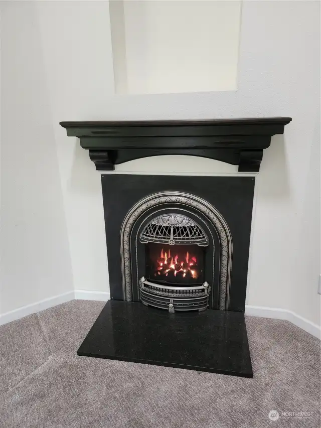 Stylish Propane Fireplace