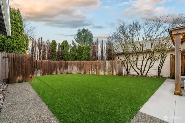 Easy maintenance turf lawn