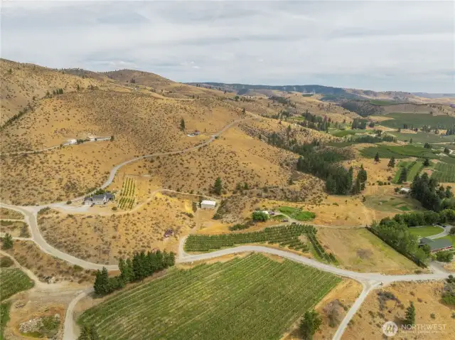 The smaller orchard follows the road along with the property adjacent to it as the road curves.