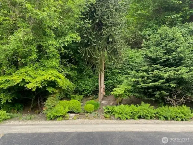 Across the street is a lovely little area carved out on the hillside for you to enjoy, a zen refuge with yard art already placed for you to enjoy!