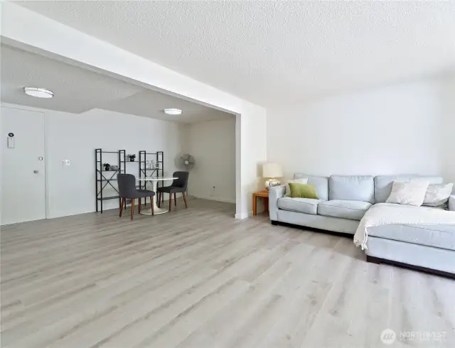 Gigantic Great Room