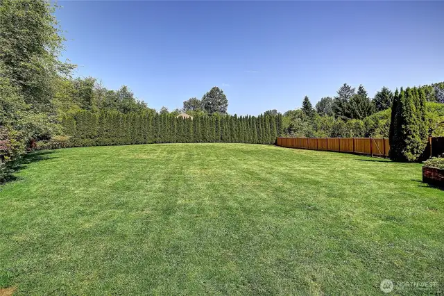 Mature landscaping and new wood fencing