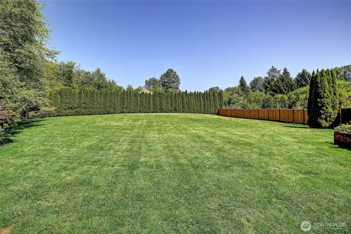 Mature landscaping and new wood fencing Mature landscaping and new wood fencing