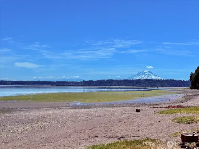 Even on a low tide day - Phenomenal views from the community’s private beaches!