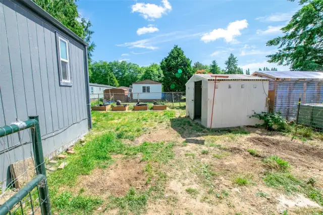 Backyard w/ garden beds and outdoor shed (one door missing, as-is)