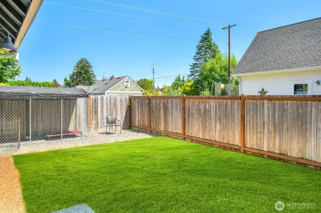 Back yard with dog run around garage. Lawn was "greened".