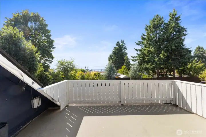 Expansive rooftop deck with views of the Sound and of the Mountain.