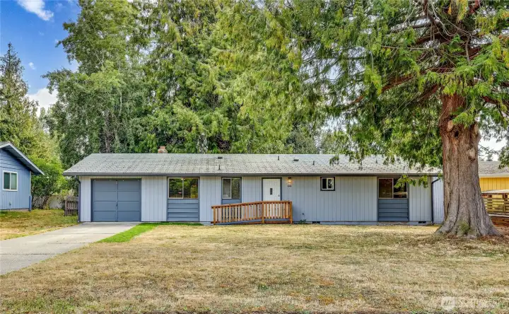 Spacious front yard