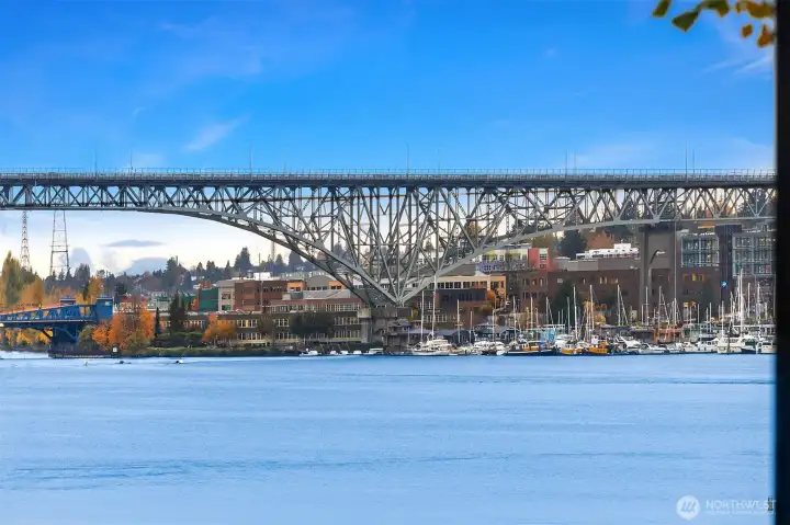 Views are from Various Roof Decks Onsite