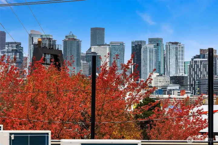 Views are from Various Roof Decks Onsite