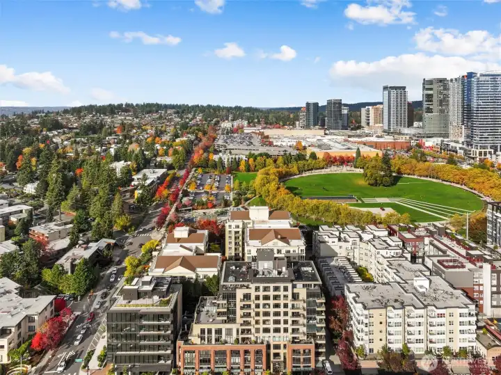 Get ready for the Bellevue Connection!