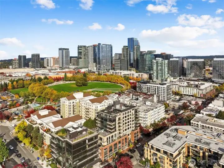 DT Bellevue.
