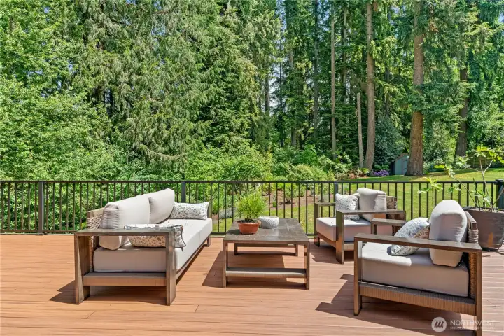 Patio with deck