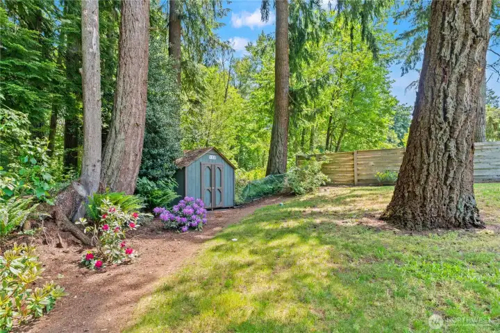 Garden shed