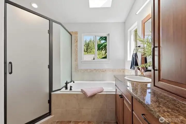 Light-filled primary bathroom featuring both skylights and windows, plus an oversized walk-in shower with dual showerheads.