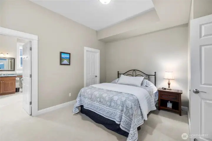 Lower level guest bedroom with walk in closet and ensuite bath Lower level guest bedroom with walk in closet and ensuite bath