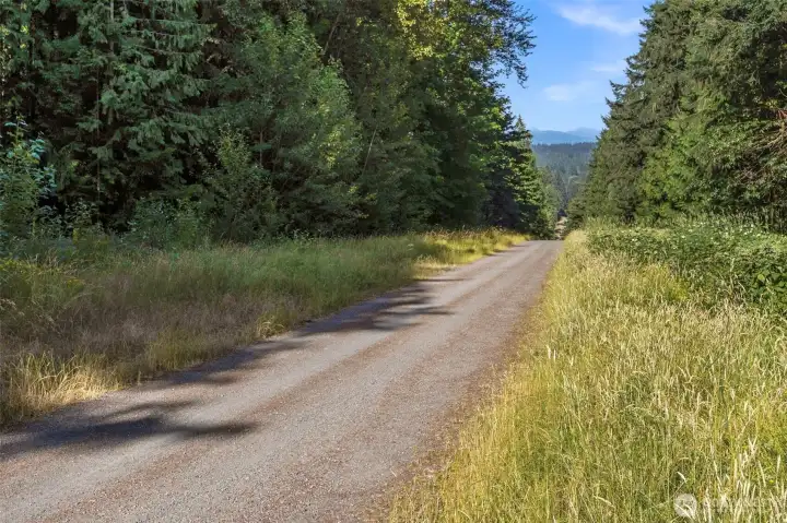 Direct access to the Tolt Pipeline Trail...