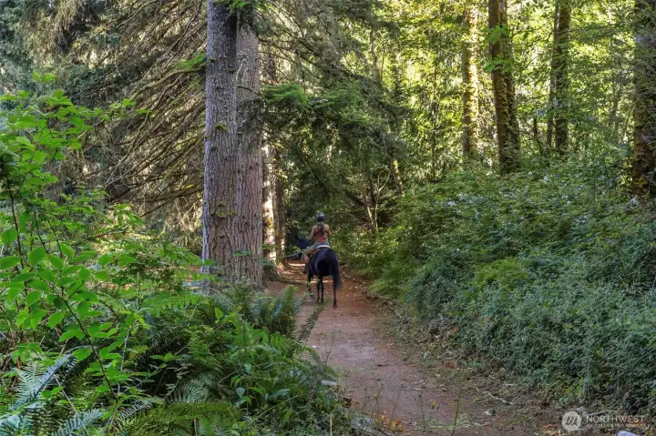 Horse back riding on the Brook Trails trail system.