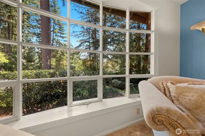 Wall of windows create the Bay Windows in the living room.