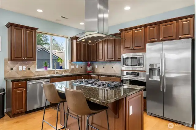 Kitchen with SS appliances and under cabinet ligthing