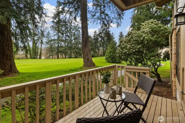 View from Main Floor Deck