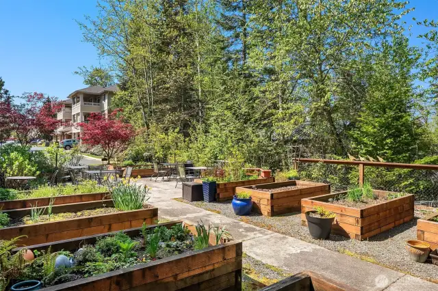 Community Garden