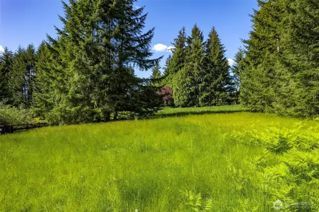 Amazing flat acreage, fenced. So many possibilities!
