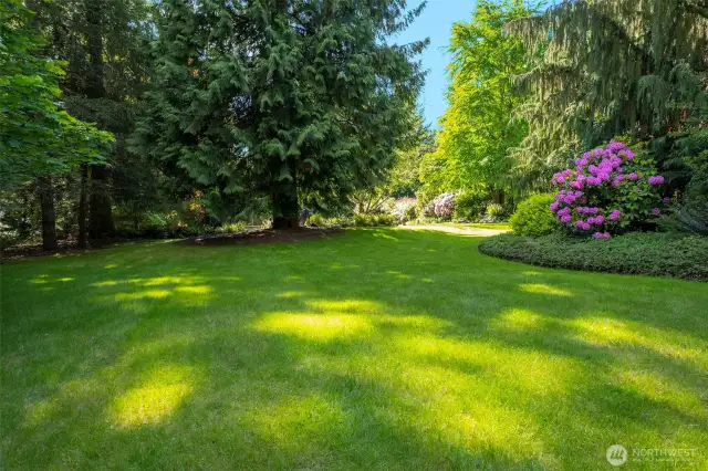 Landscape surrounding home, mature trees and perennials, stunning!