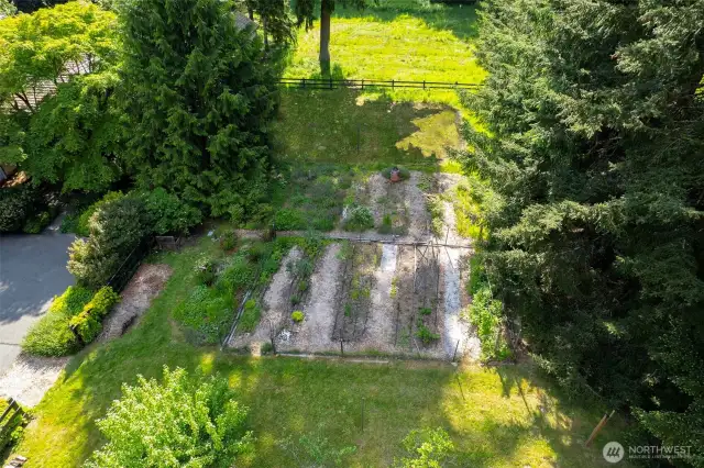 Plenty of garden areas for vegetables. Fruit trees too in the orchard.