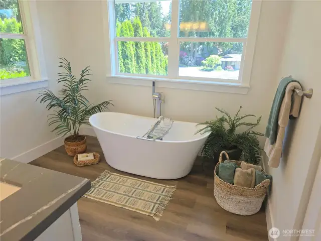 Soaking tub with Double Vanity/sinks