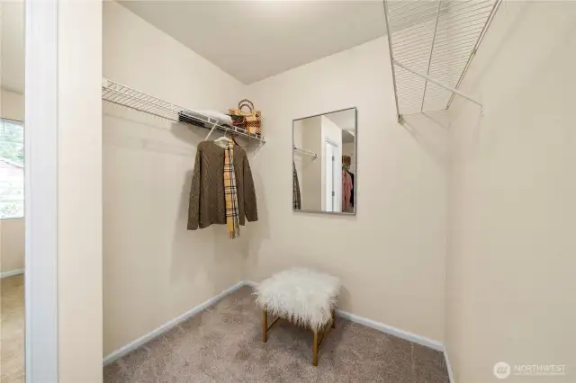 Closet in Primary
