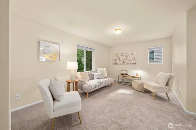 Large Bonus Room