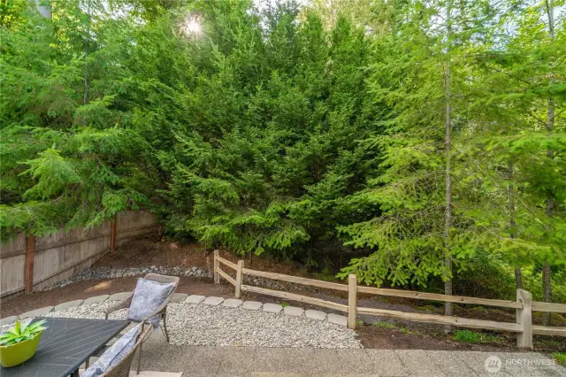 Backyard Greenspace