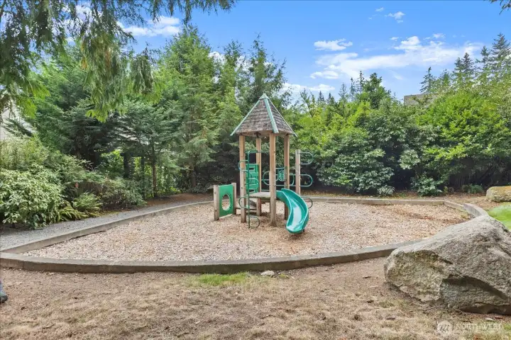Play Ground in the Community
