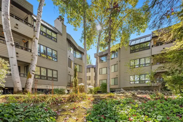 Pretty building that has newer cement planked siding and windows. Well-managed HOA.