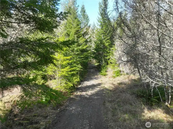 1/2 mile long balasted road leading up 100' to the hilltop building site