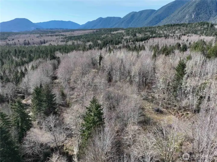 upper building site and wellhead