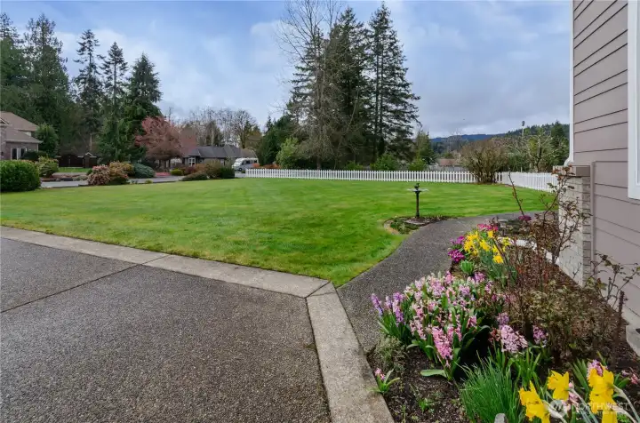 Flat yard all around this property